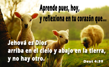 no hay otro Dios